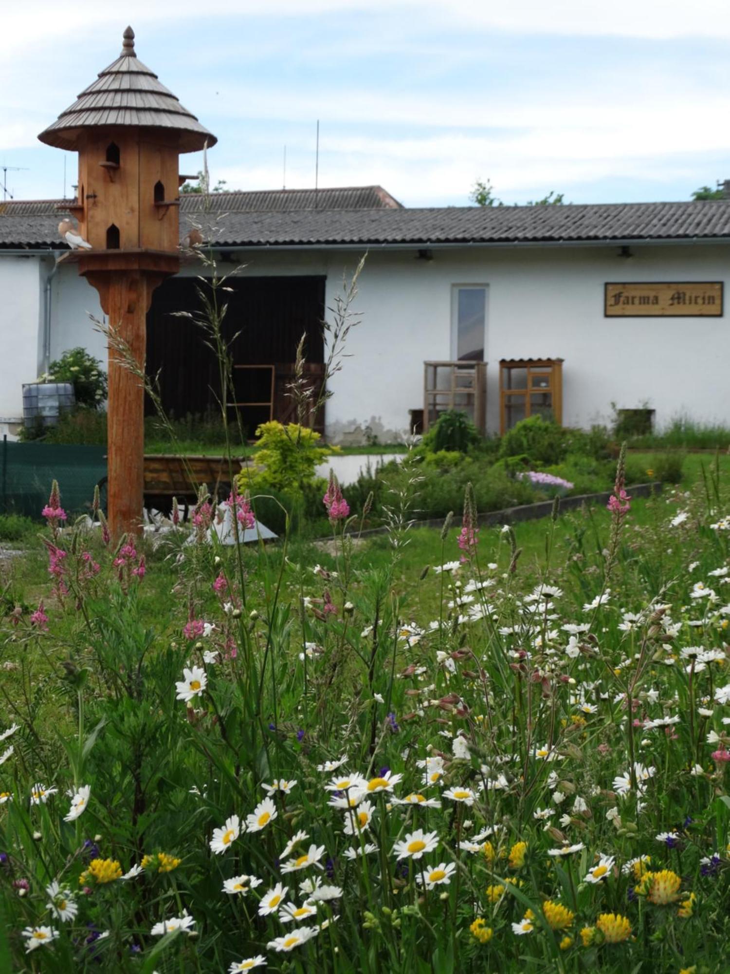 Villa Ubytovani Na Tvrzi Olmütz Exterior foto